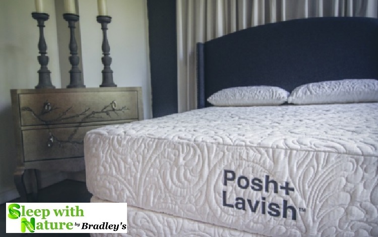 Posh and shop lavish mattress